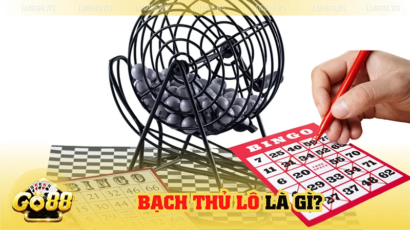 Bạch Thủ Lô là gì?