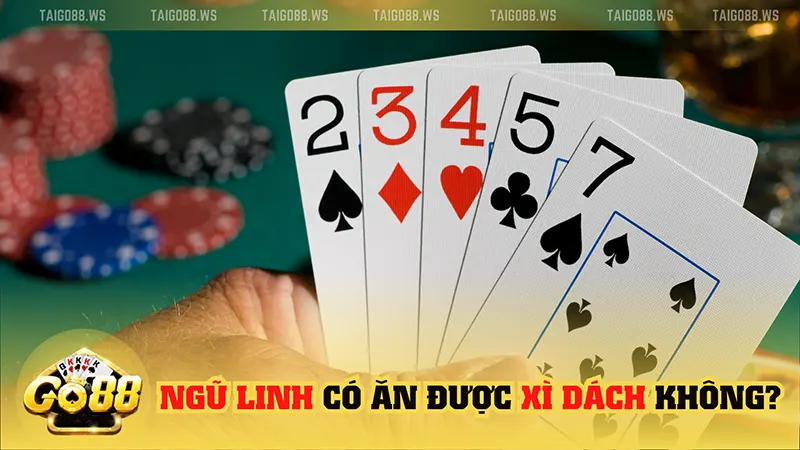 ngu linh co an duoc xi dach khong Bí mật của ngũ linh trong xì dách