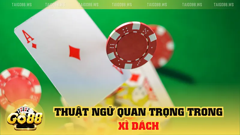 thuat ngu quan trong trong xi dach Xì dách là gì? Bí quyết chơi xì dách hiệu quả cho người mới